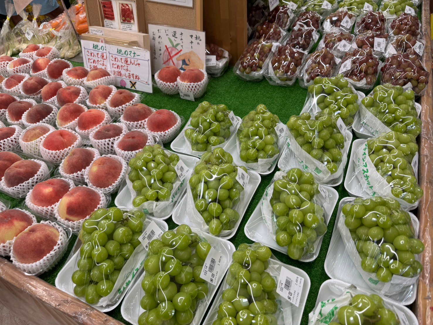 白いネットに包まれた桃とパック入りの緑色と赤紫色のぶどう