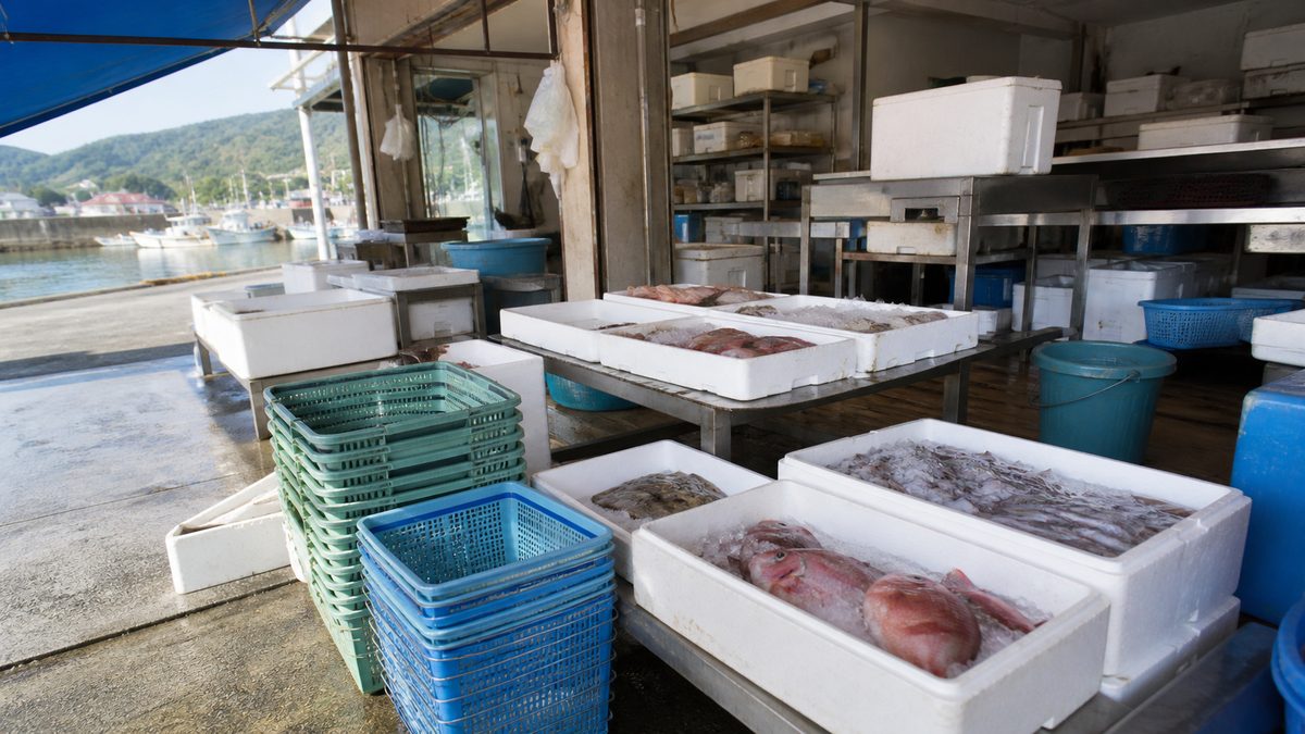 漁港の直売所前に並ぶ買い物かごのイメージ