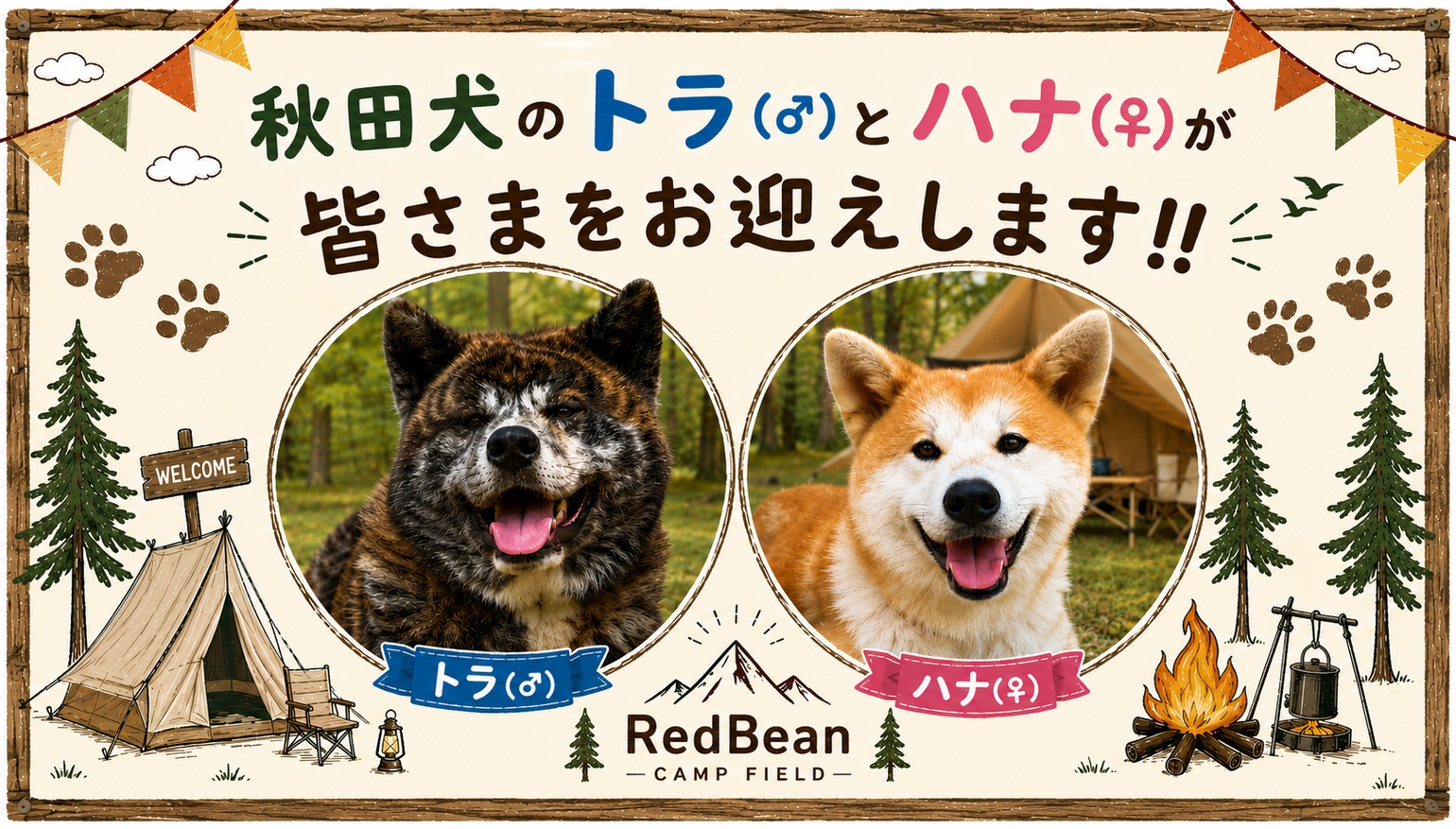 RVパークせせらぎオートキャンプ場RedBean