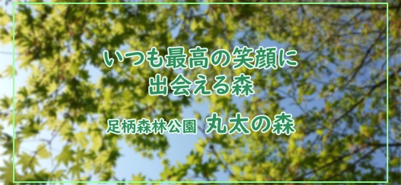 RVパーク 丸太の森