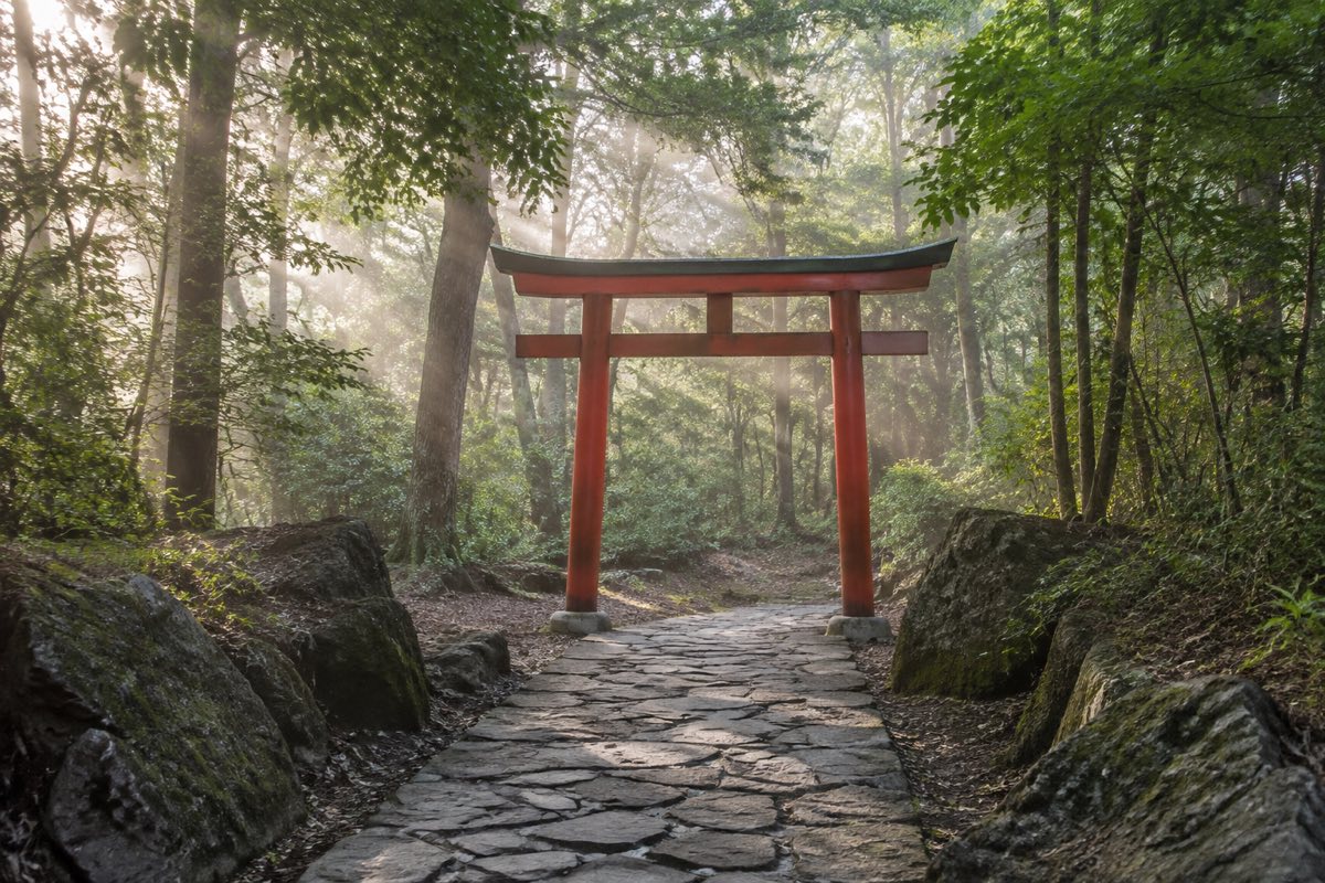 朝の宗像大社境内をイメージした風景(イメージ)
