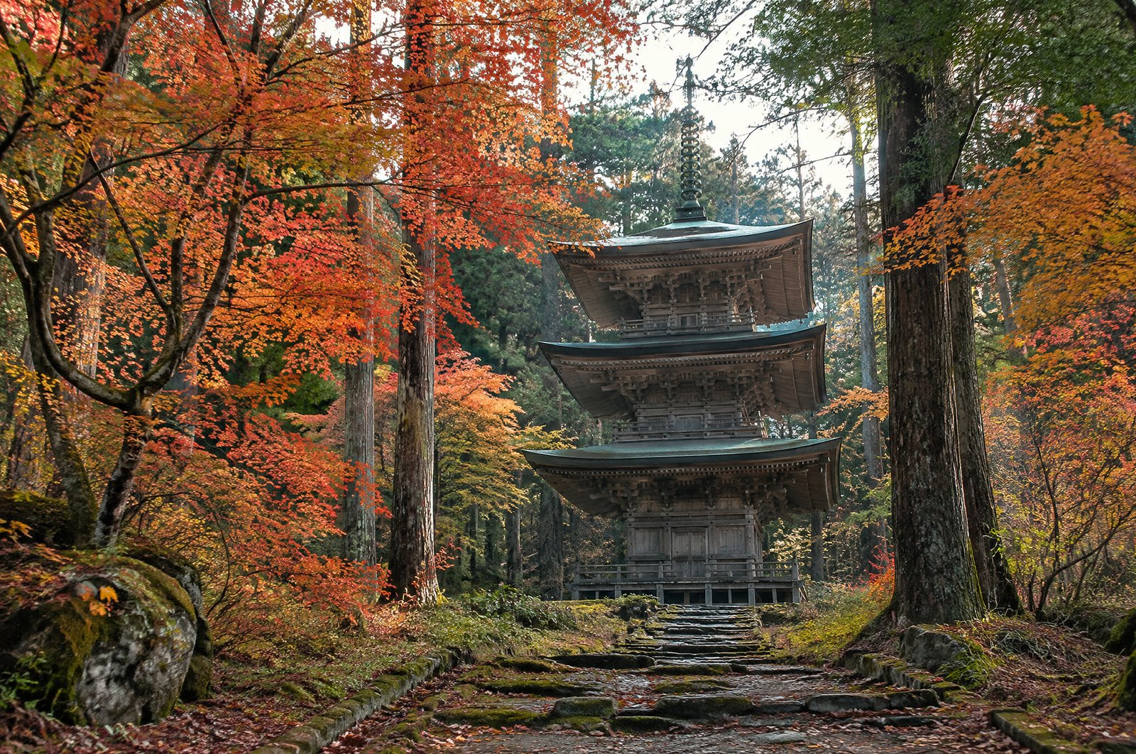 晩秋の朝、色づいた木々に囲まれた古い木造の三重塔を、少し離れた石畳の道から見上げた風景。やわらかな光。イメージ画像（AI生成。実際の施設・商品の写真ではありません）